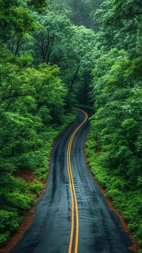 3d-wallpaper-full-hd (2)