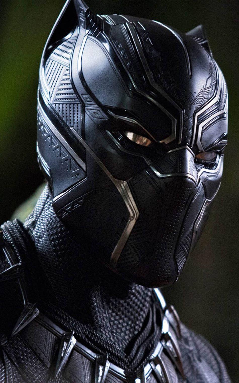 black-panther-pic (2)