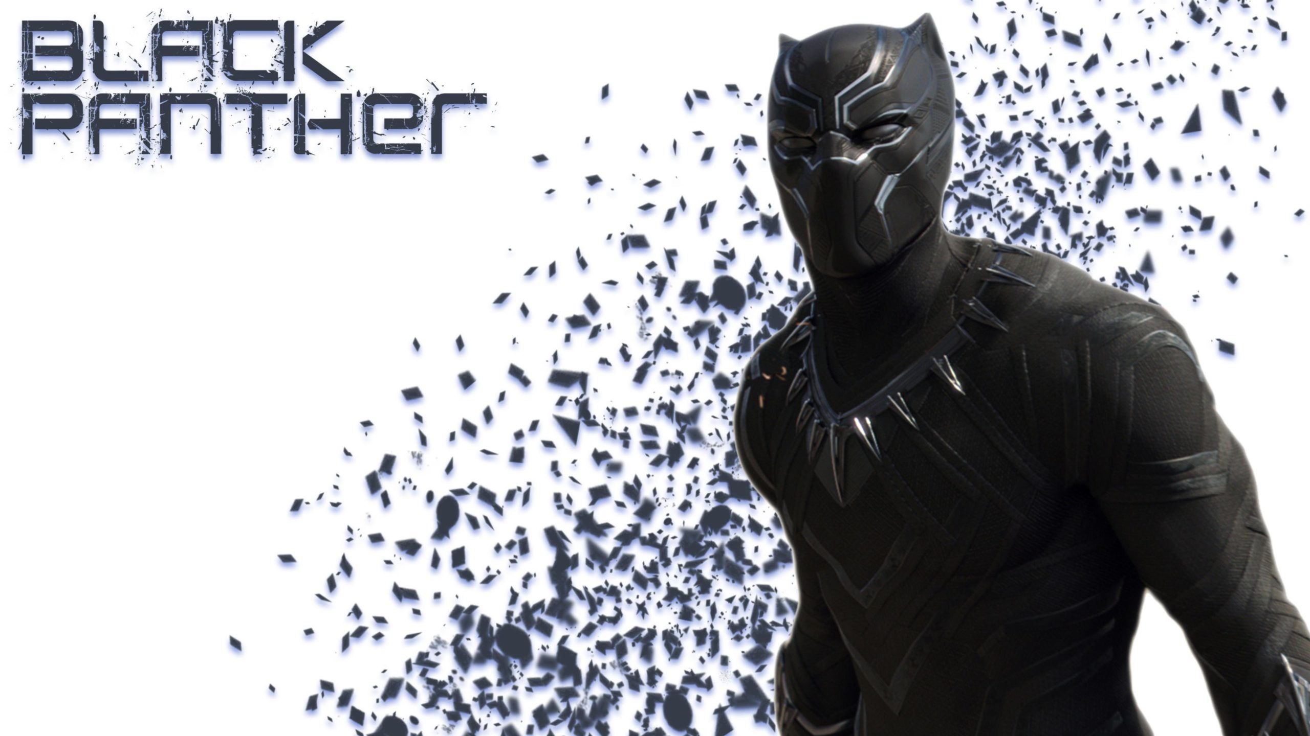 black-panther-picture (3)