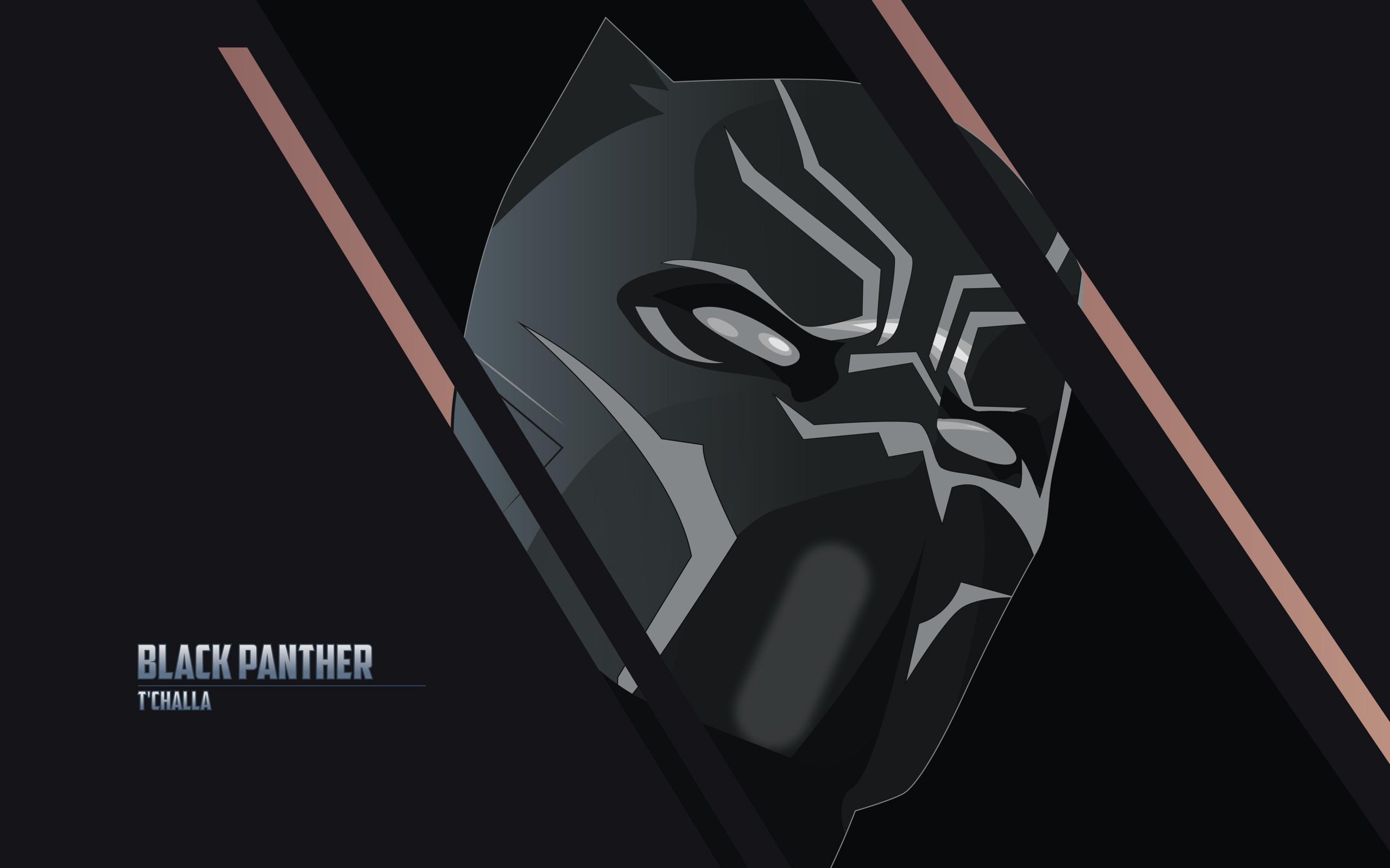 panther-wallpaper-4k