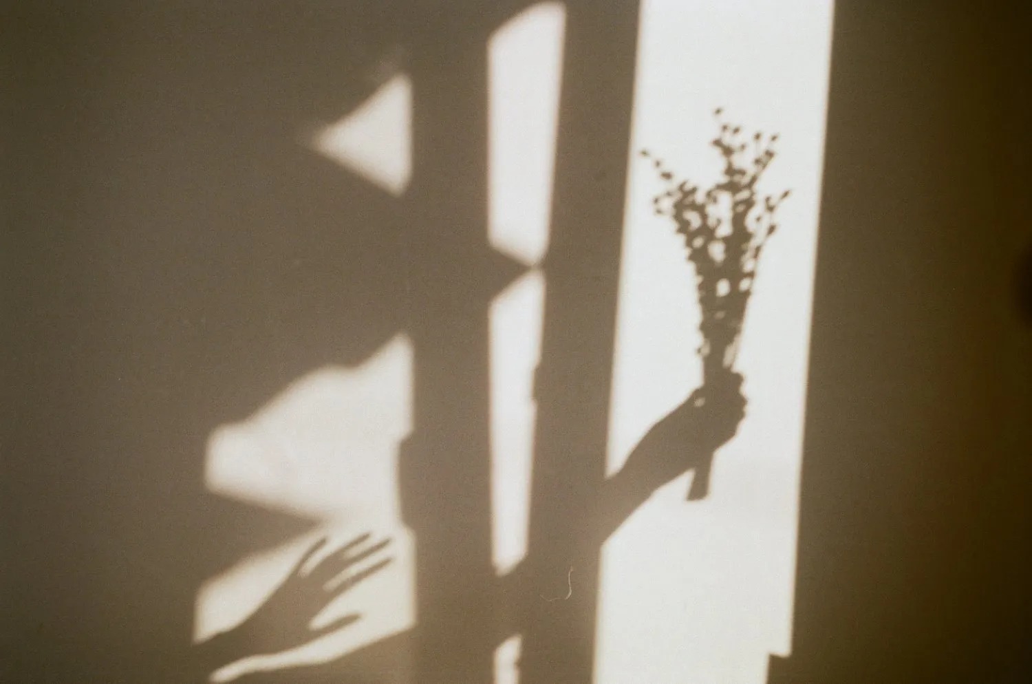 aesthetic-profile-cute-shadow-images-of-girl (2)