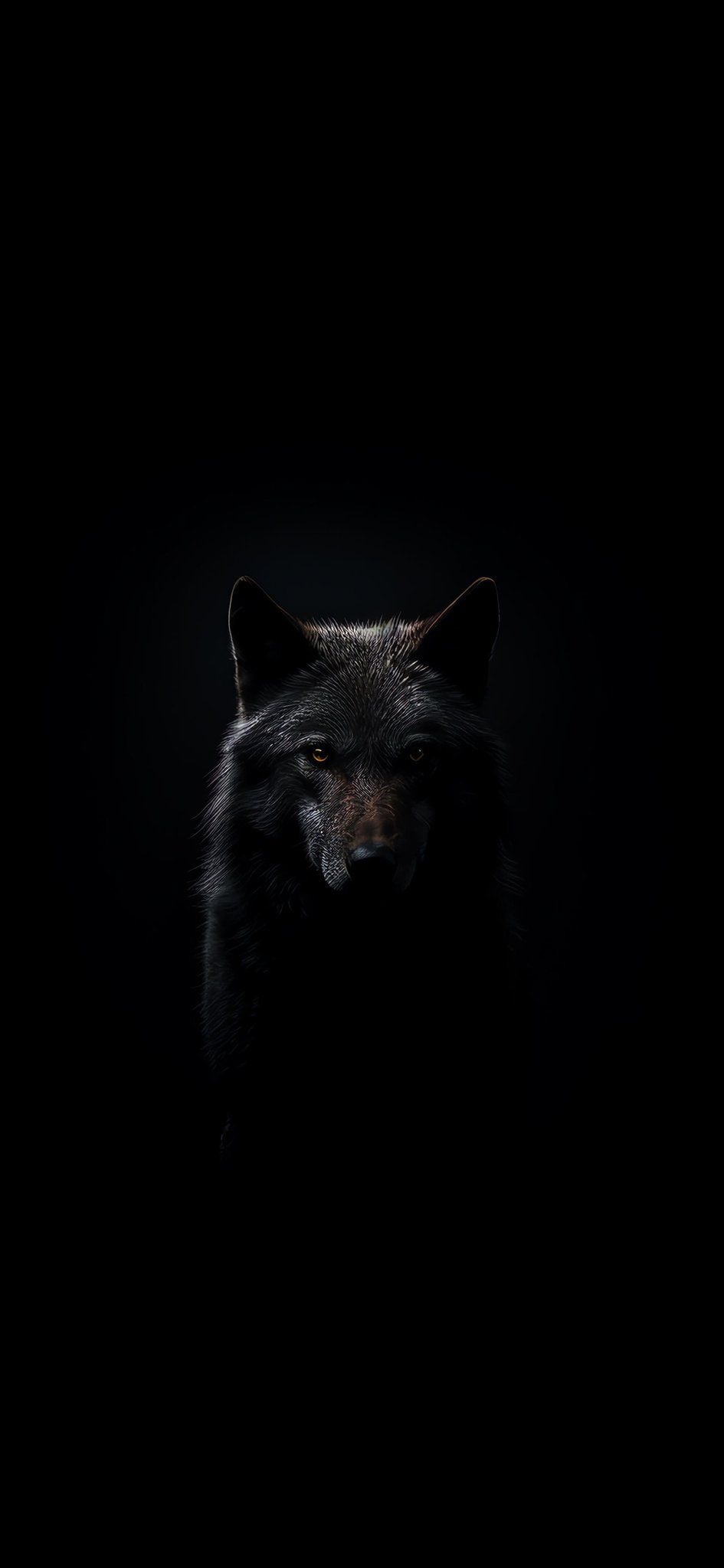 beautiful-wolf-wallpaper (2)