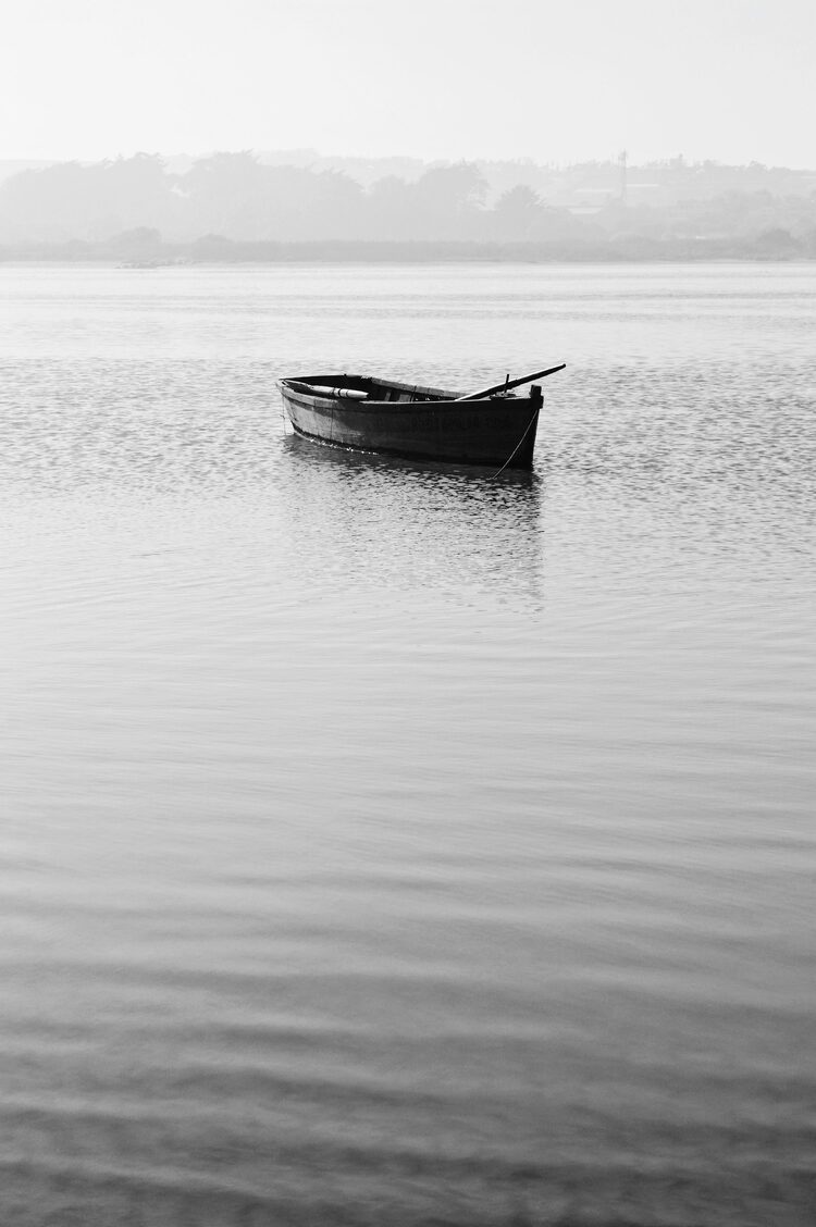 black-and-white-picture (2)