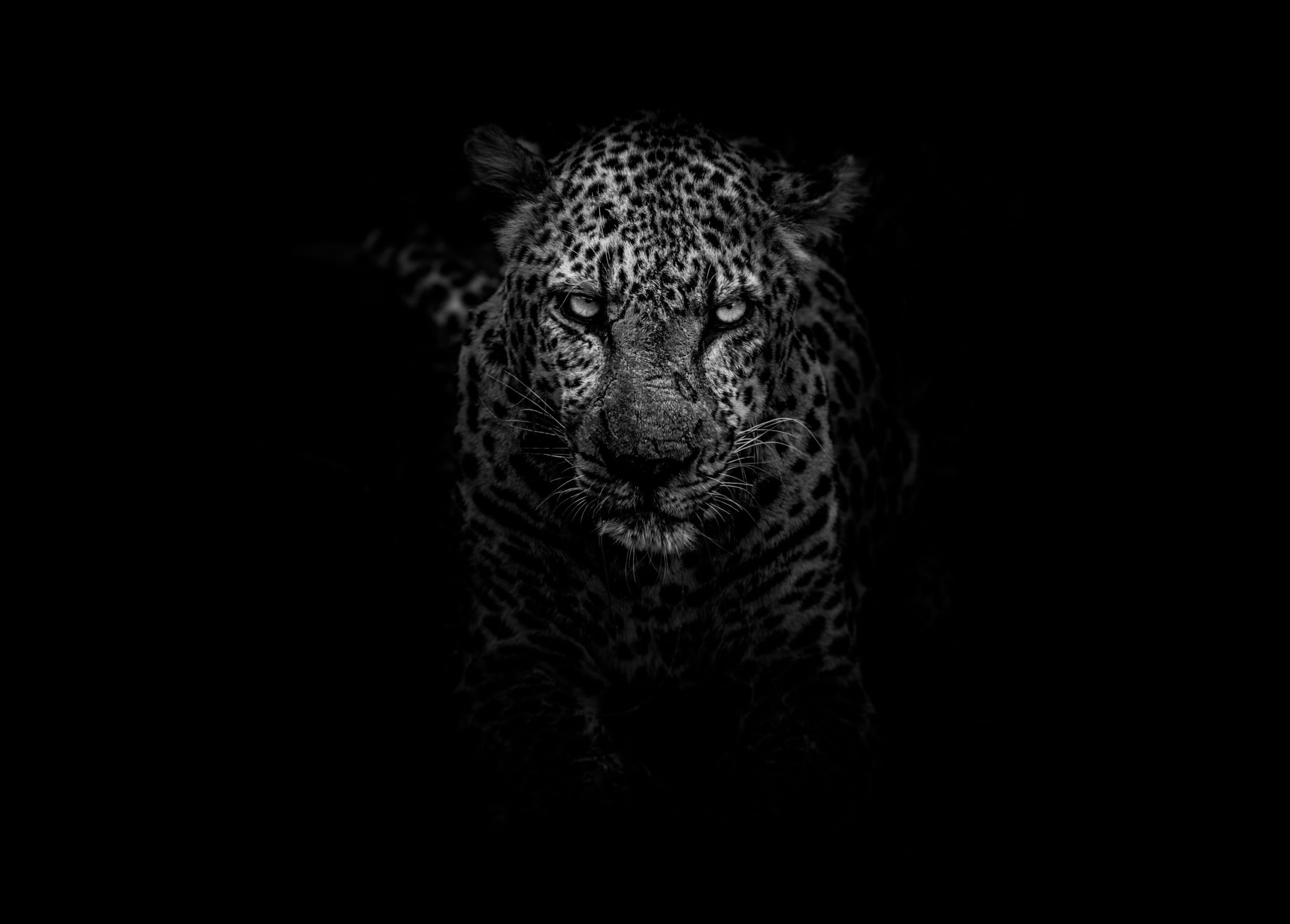 black-white-photo (2)
