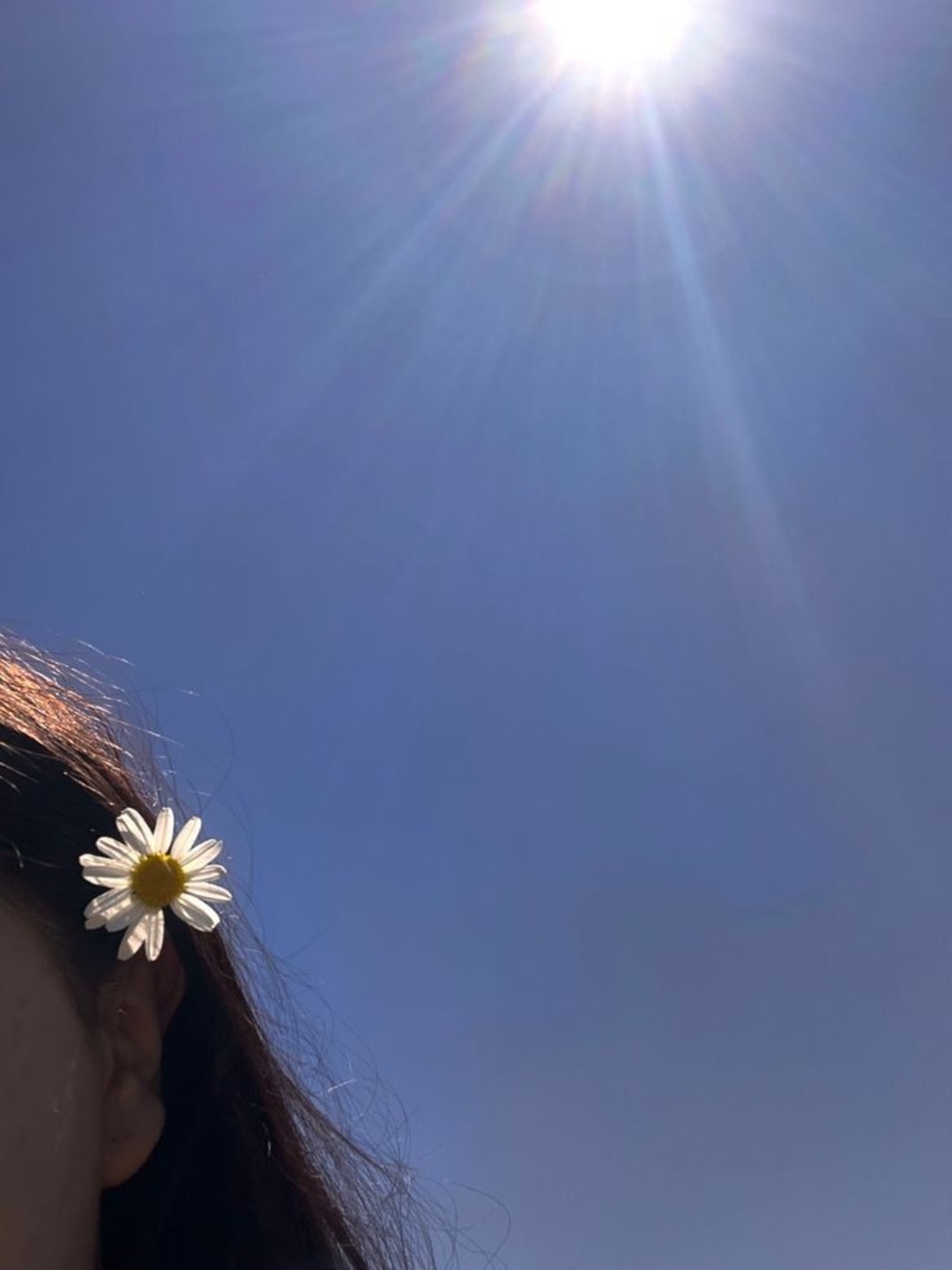 dp-picture