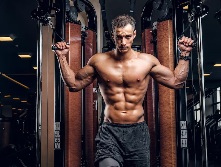 gym-model