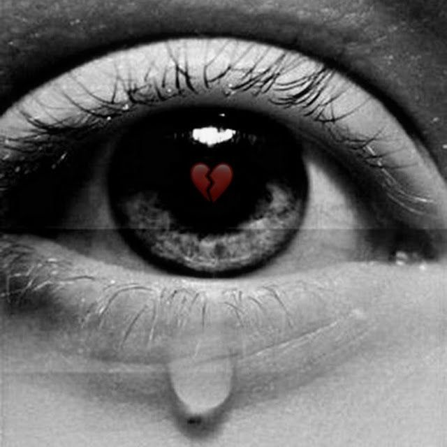 imgi_116_2e33e53817b8d7056b29f3aa829c34ee