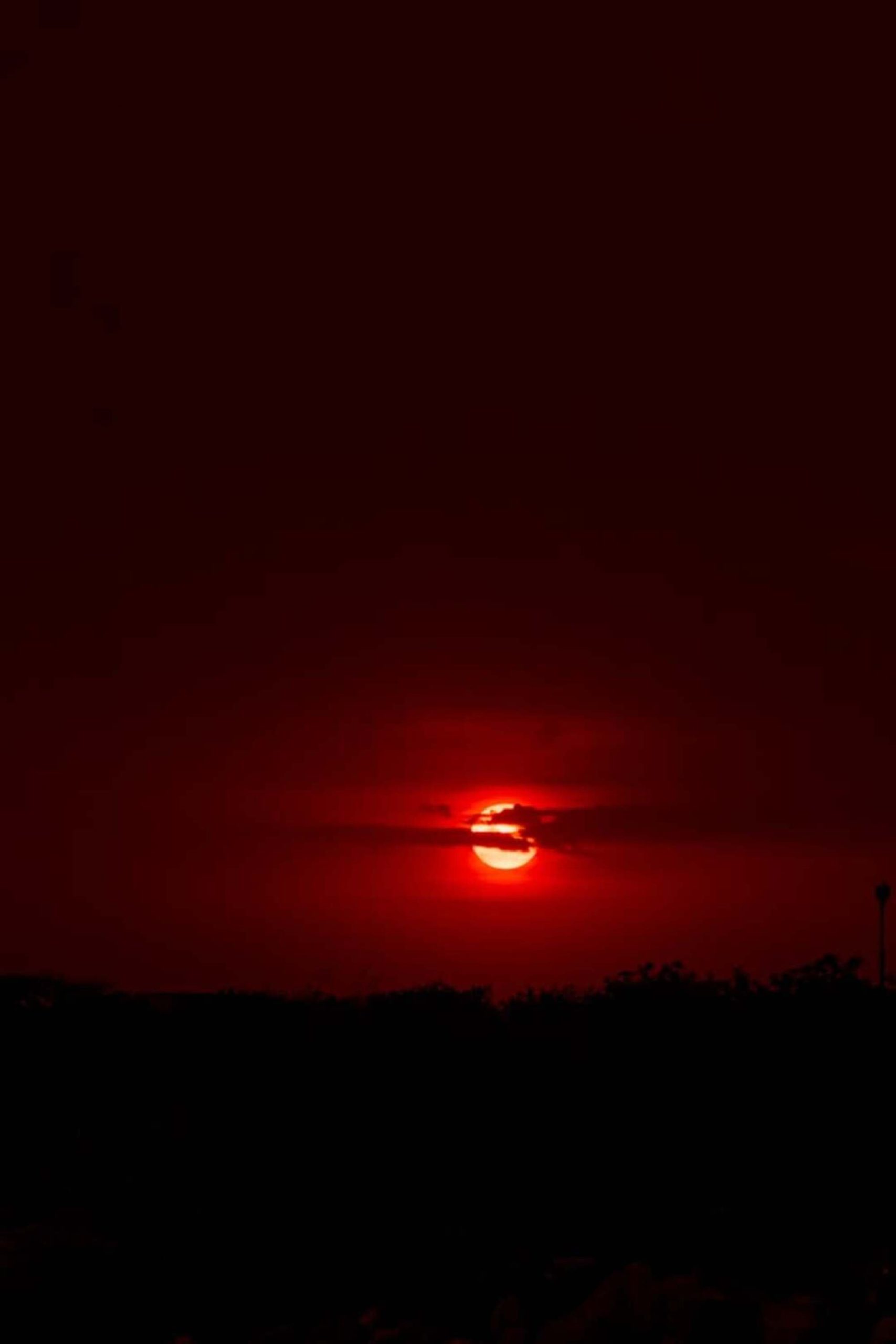 imgi_130_photo-1622030903197-95d7a65f902e