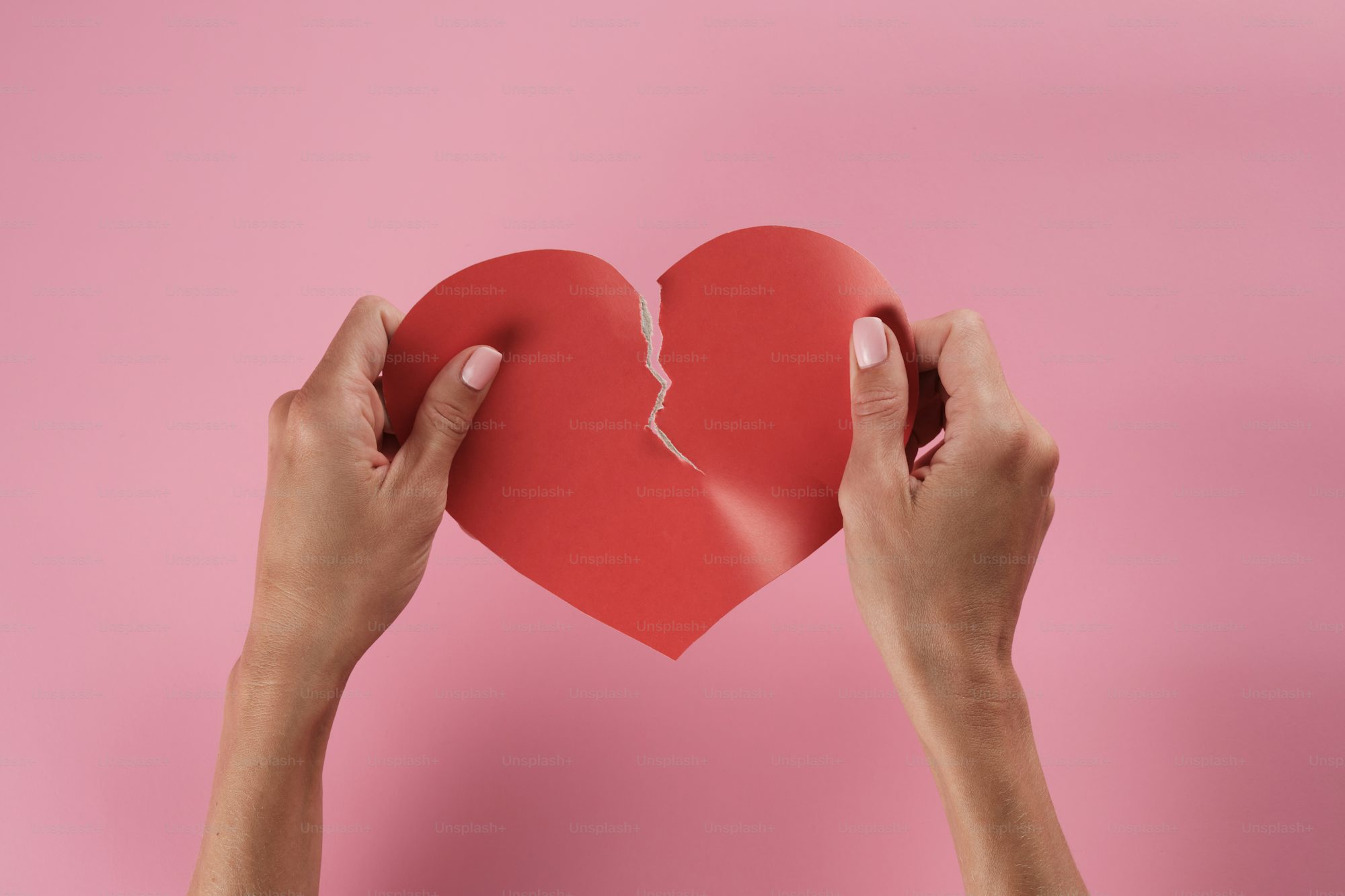 imgi_260_premium_photo-1725075087848-e19ebd5d9c99