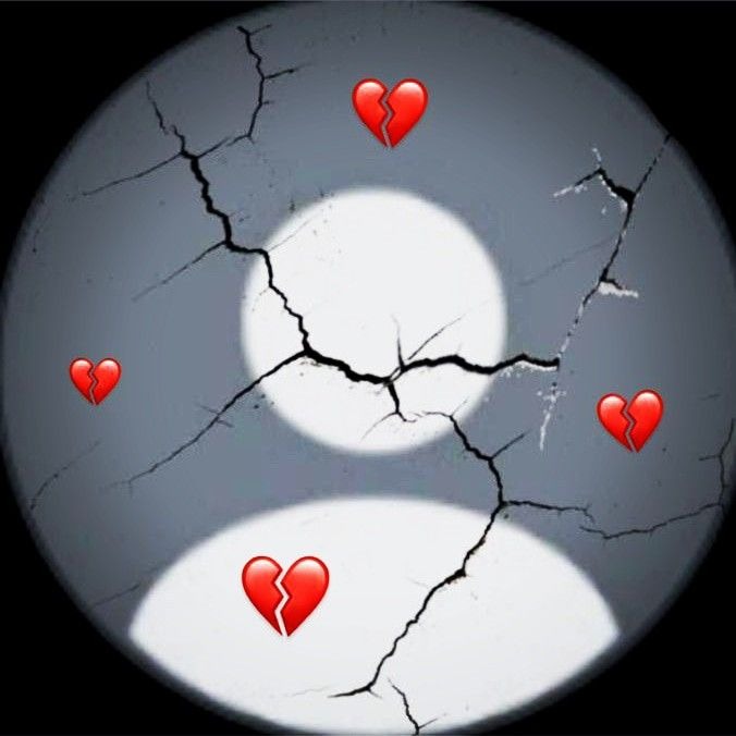 imgi_54_203803335d48d2daf24bb8c998a09478