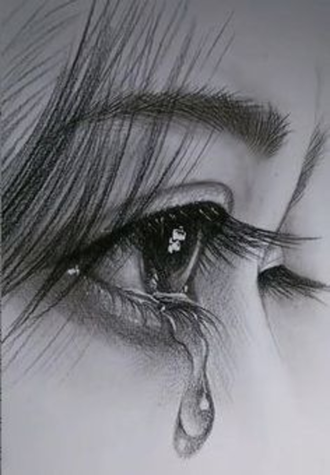 imgi_72_4377d05eb914eb5ba0b1e53de9d135b7