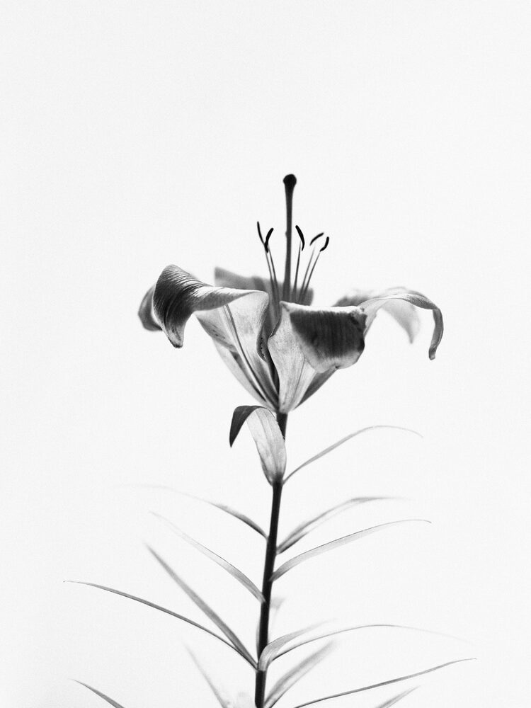 instagram-aesthetic-black-profile