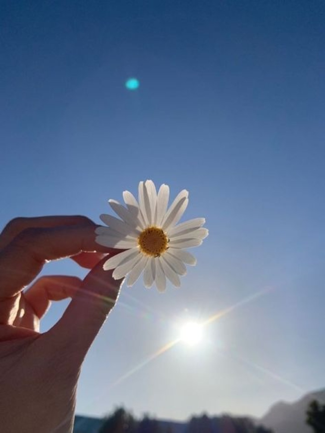 instagram-user-dp