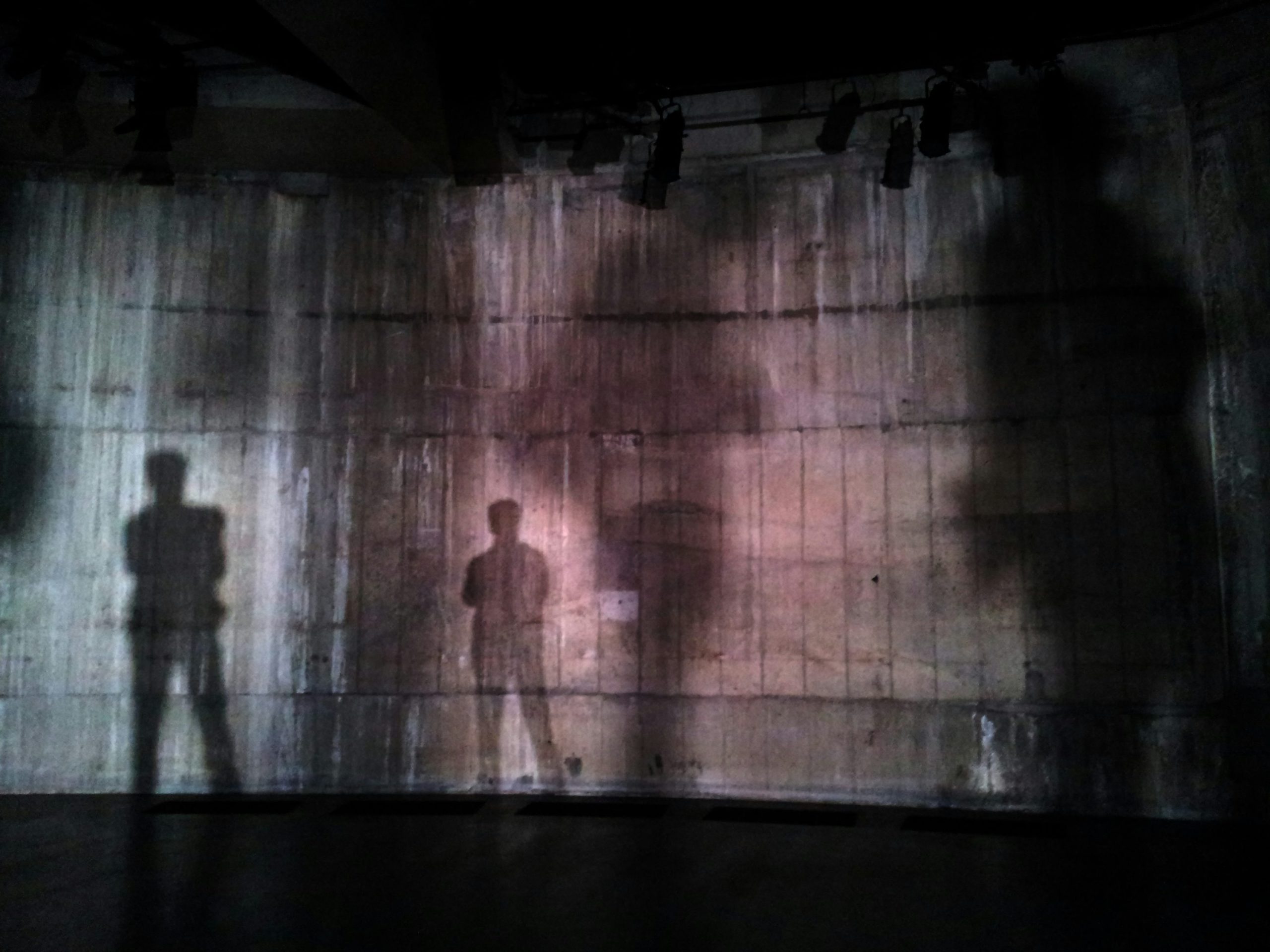 man-shadow (2)