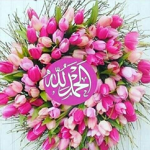 quran-ramadan-dp