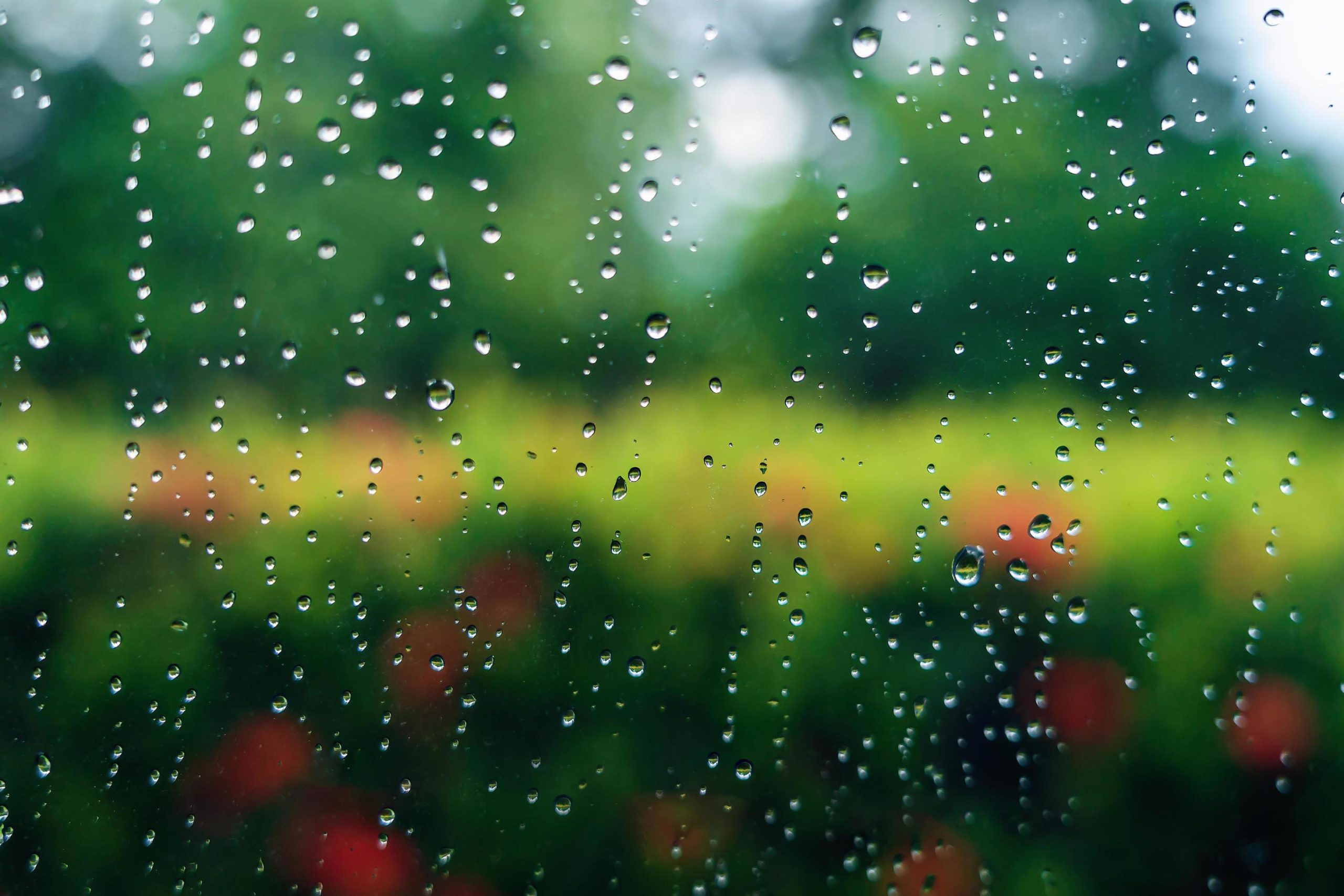 rain-image (3)