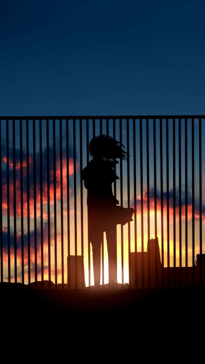 shadow-dp