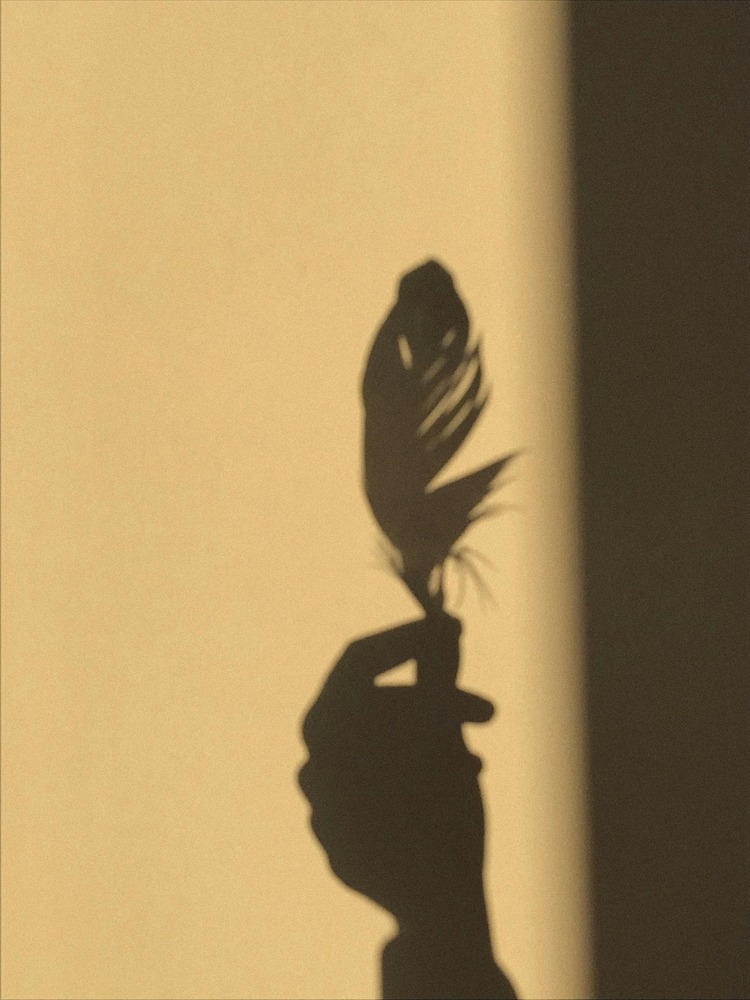shadow-pic (3)