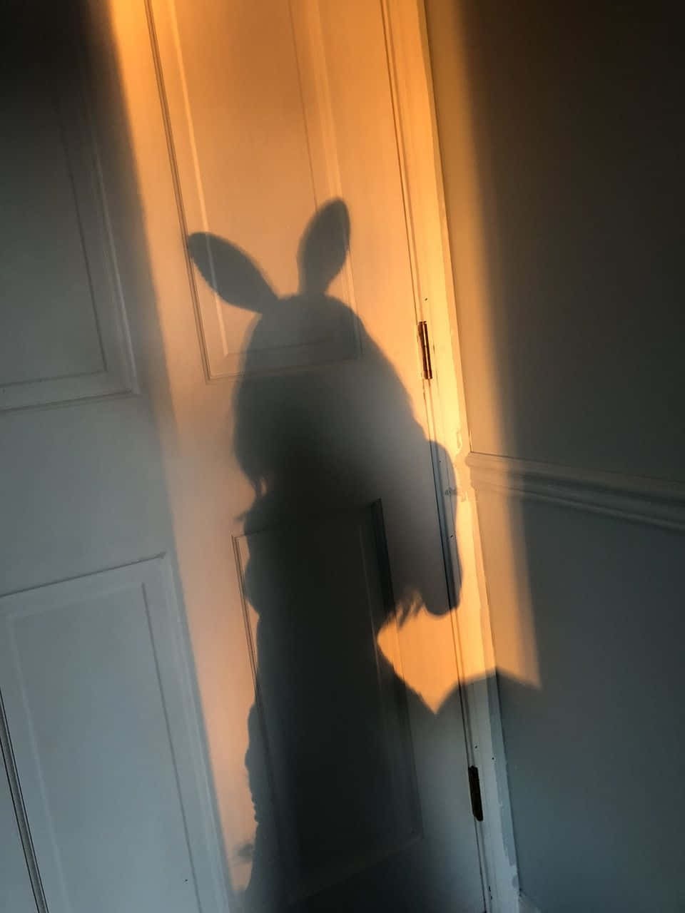 shadow-pic