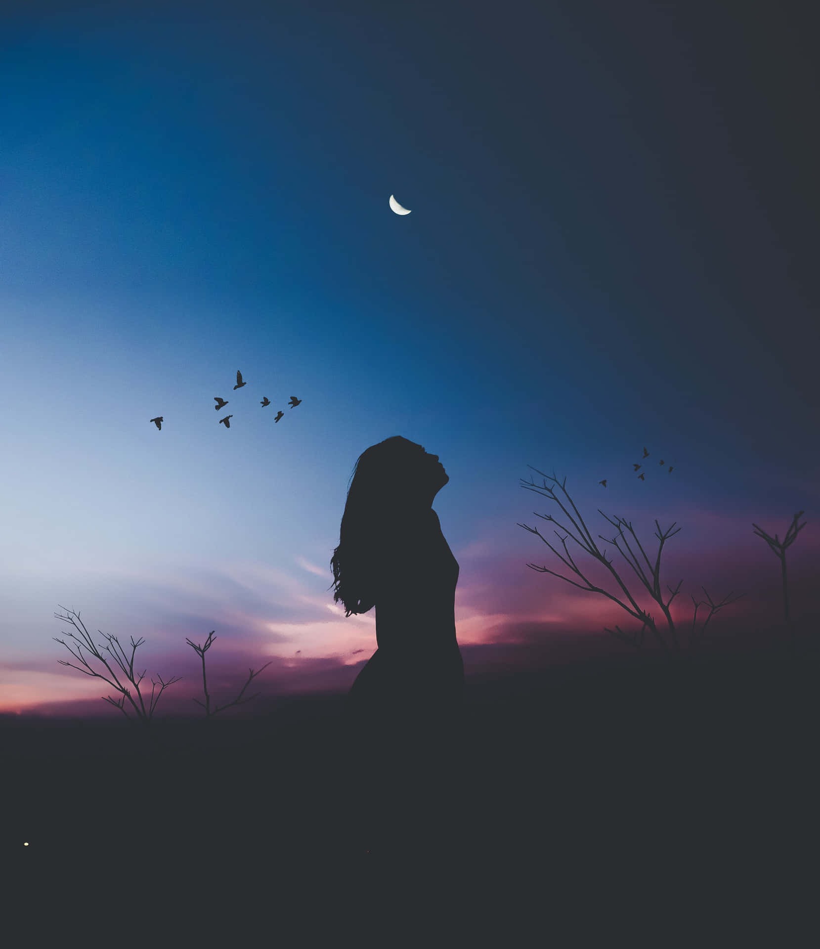 shadow-pictures