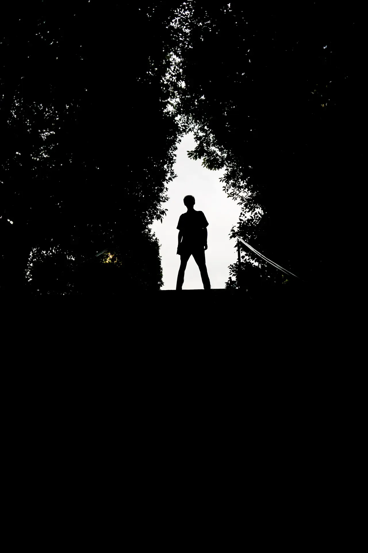 shadow-profile-picture (2)
