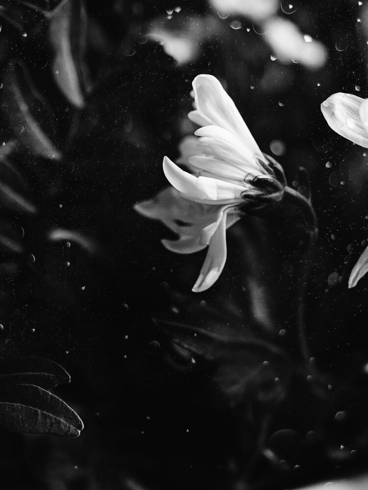 wallpaper-for-girls-black