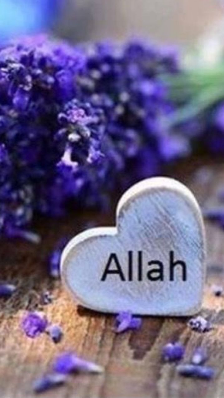 whatsapp-dp-islamic