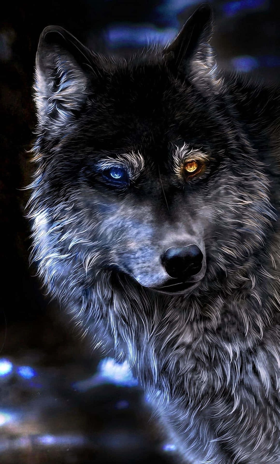 wild-wolf-images (2)