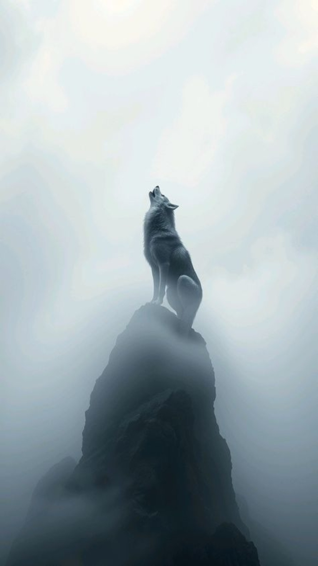 wolf-4k-wallpaper (2)