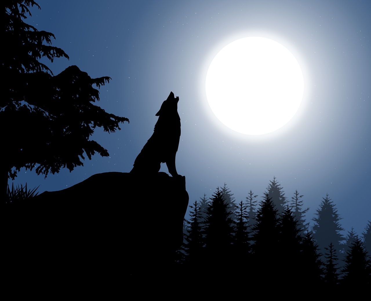 wolf-images-wallpaper