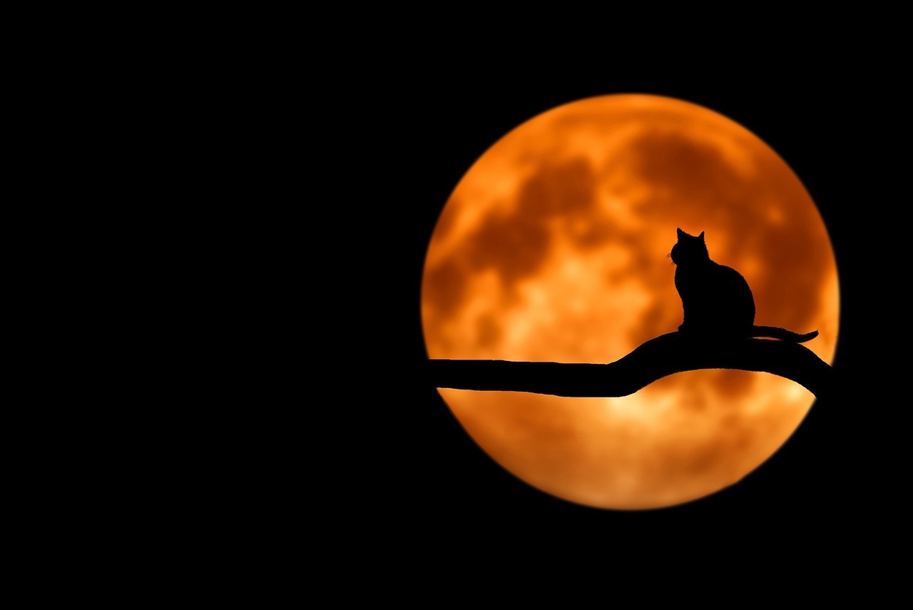 moon-photo