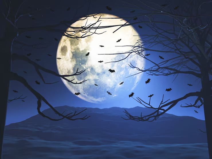 moon-photography