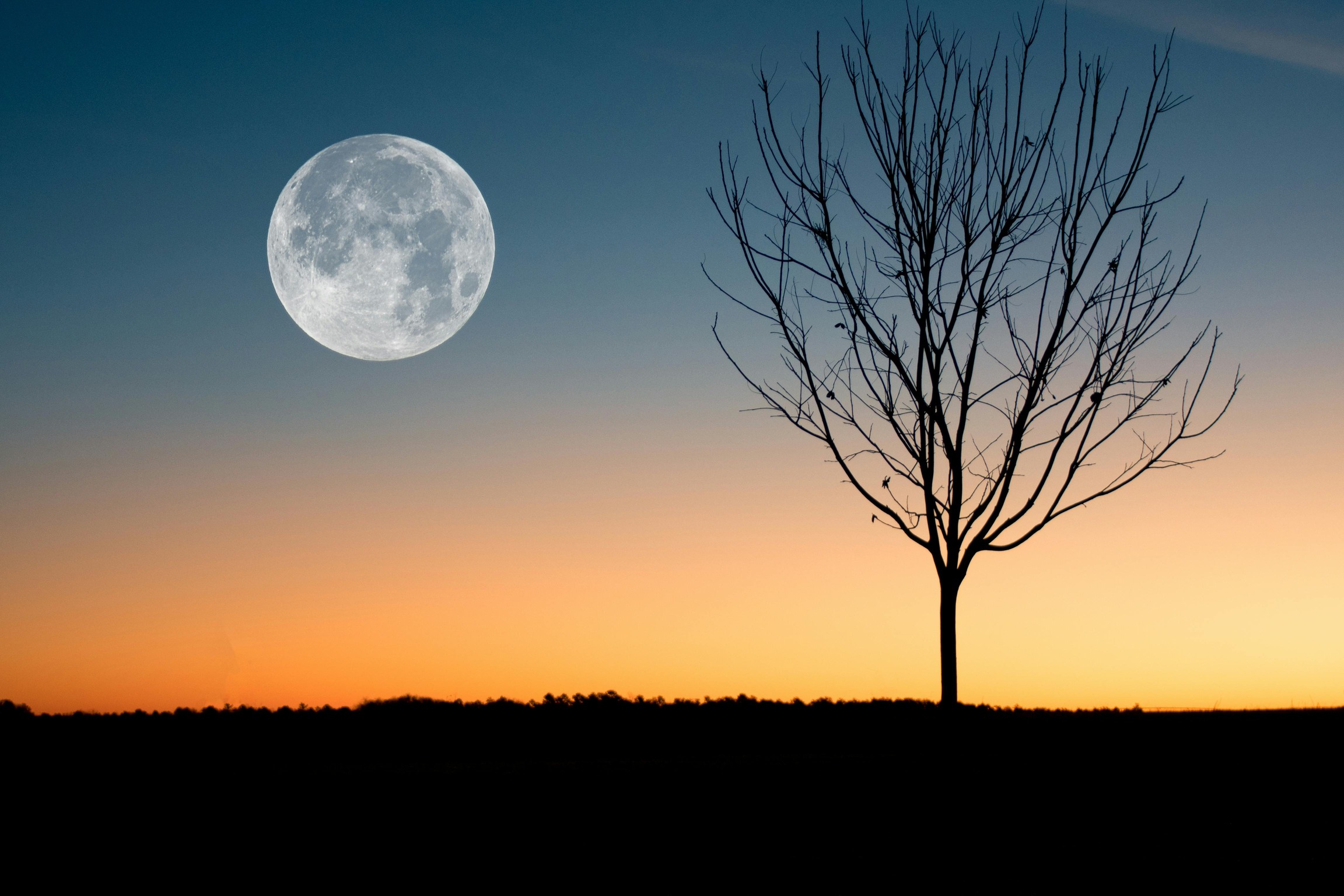 night-moon-pic (2)
