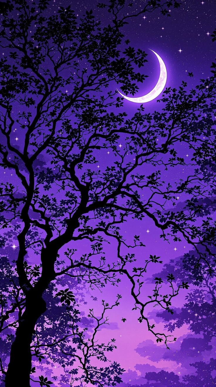 night-sky-moon (2)