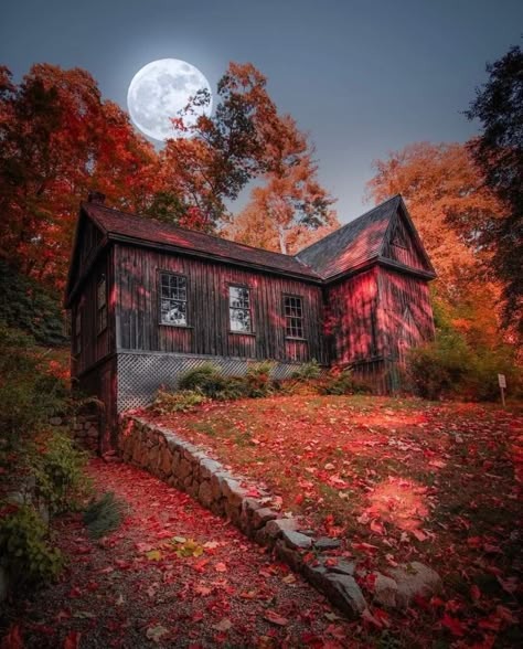 sky-night-moon